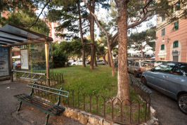 ND2_8734.jpg